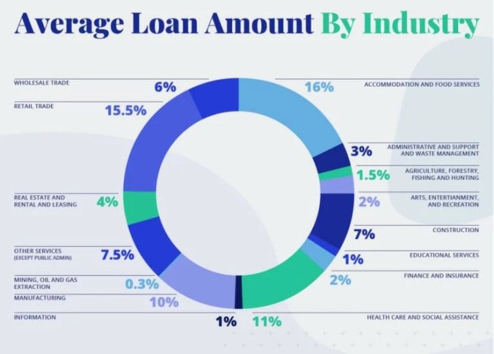 What is the average business loan amount